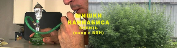 прущие грибы Нижневартовск