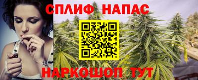 гашик Аргун