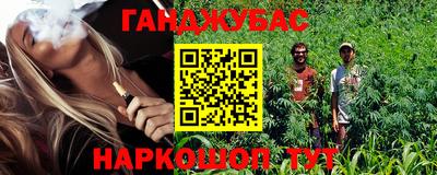 гашик Аргун