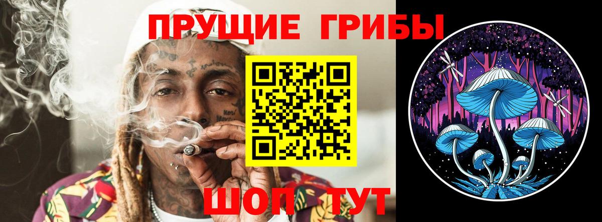 Псилоцибиновые грибы Psilocybine cubensis  Псилоцибиновые грибы Cubensis  Вход с VPN  Апрелевка 