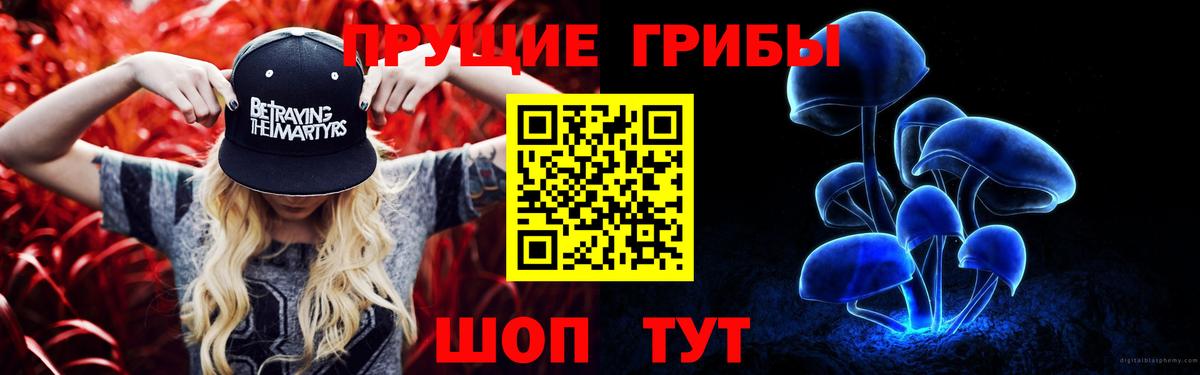 Псилоцибиновые грибы Cubensis  Псилоцибиновые грибы прущие грибы  Апрелевка 